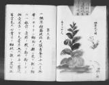 《煙草説》