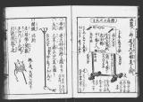 《楊弓求己抄》