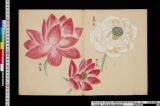《清香画譜》