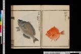 《緑漪軒動物図》