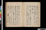 《信使御同伴御在府中日帳》