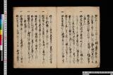 《西藩野史序 島津宗家支家世系》