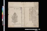 周憲王救荒本草 14巻