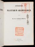 Synopsis plantarum Graminearum