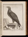 Histoire naturelle des oiseaux