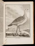 Histoire naturelle des oiseaux