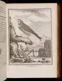 Histoire naturelle des oiseaux