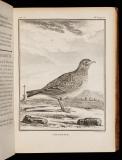 Histoire naturelle des oiseaux