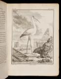 Histoire naturelle des oiseaux
