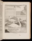 Histoire naturelle des oiseaux