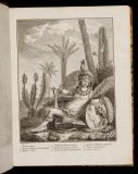 Histoire des plantes de la Guiane Françoise : rangées suivant la méthode sexuelle, avec plusiers mémoires sur différens objets intéressans, relatifs à la culture & au commerce de la Guiane Françoise, & une notice des plantes de l'Isle-de-France
