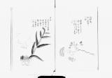 《南島雑録 ; 植物部抄録》