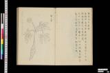 藍水人薓譜