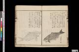 皇和魚譜