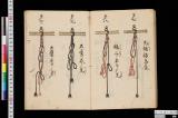 鷹十二顔之書