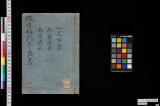 纔有梅花亭叢書