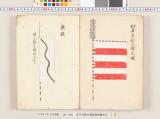 《松平兵部大輔旗指物諸合印》